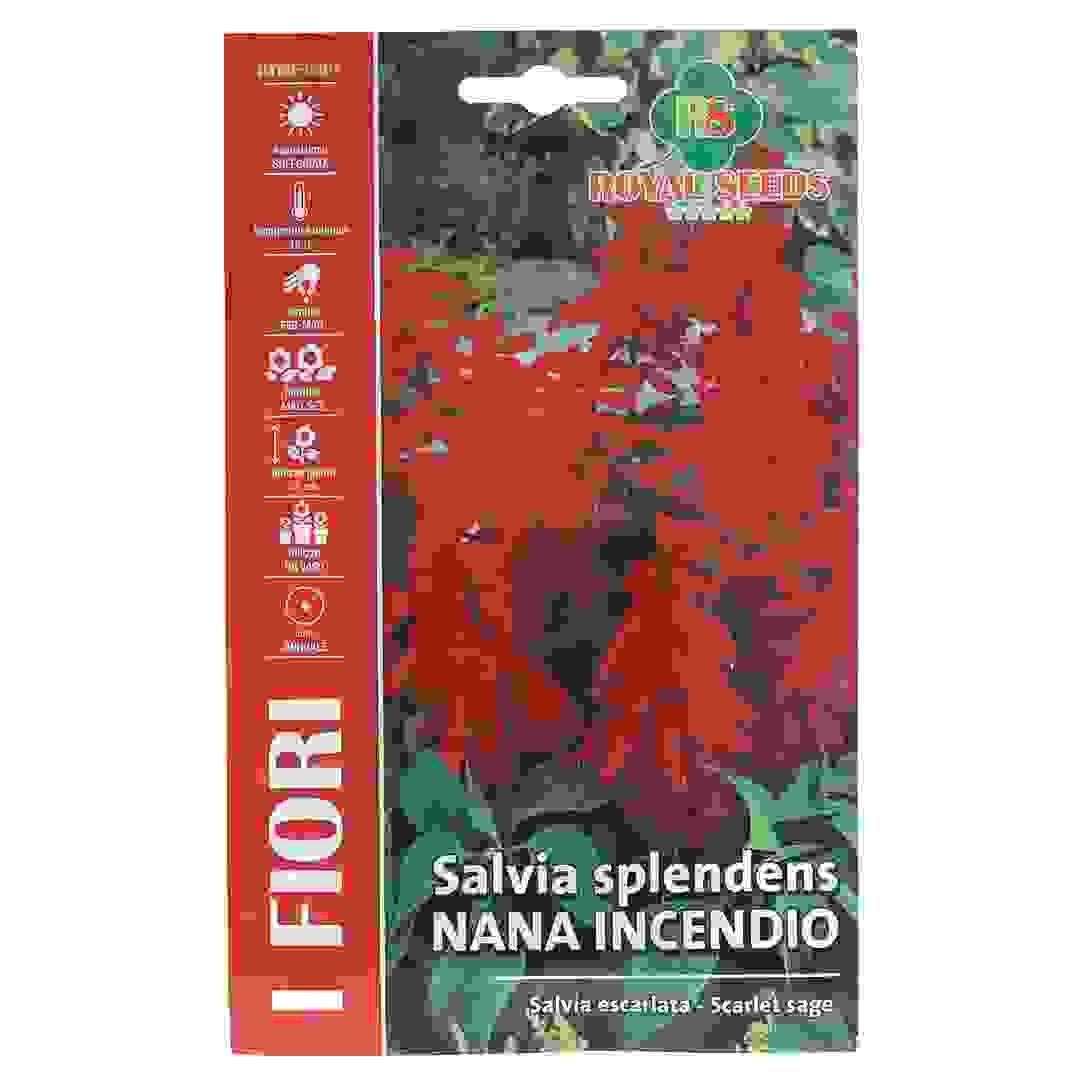 Royal Seeds Salvia Splendens Seed Pack (0.3 g)
