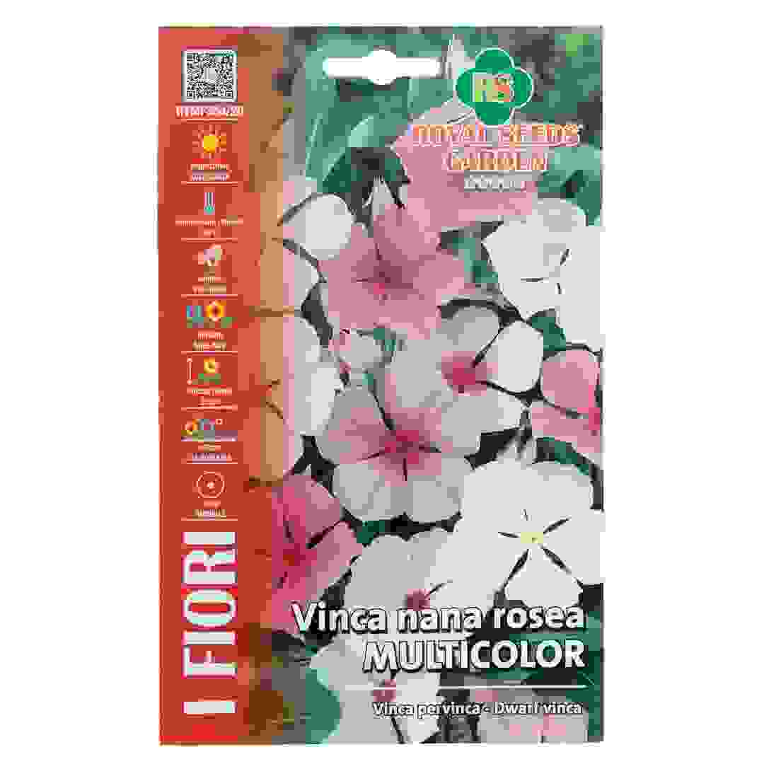 عبوة بذور بفتا فنكا صغيرة متعددة الألوان رويال سيدز (0.25 جرام)