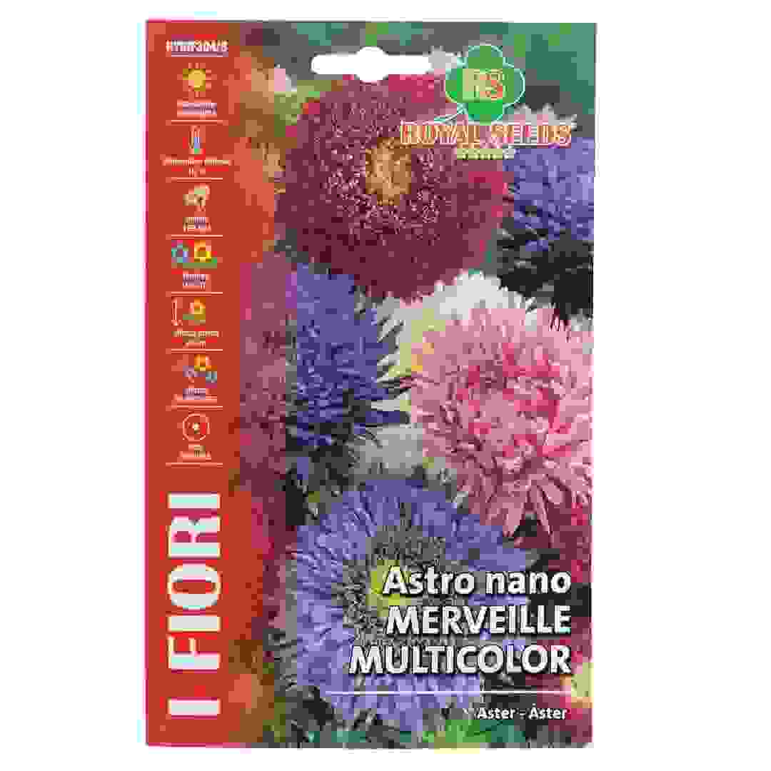 Royal Seeds Multicolor Dwarf Aster Seed Pack (1.75 g)