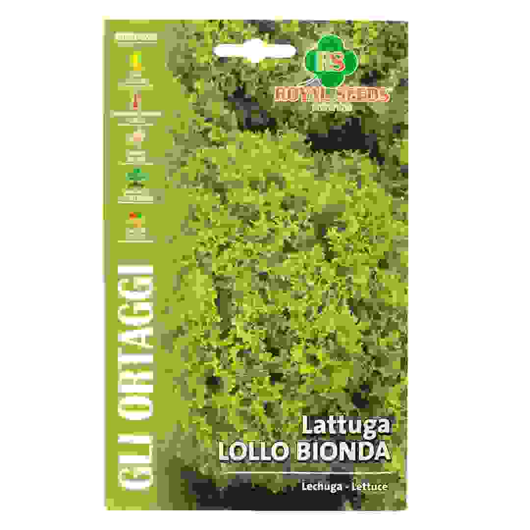 عبوة بذور خس لولو بيوندا رويال سيدز (4 جرام)
