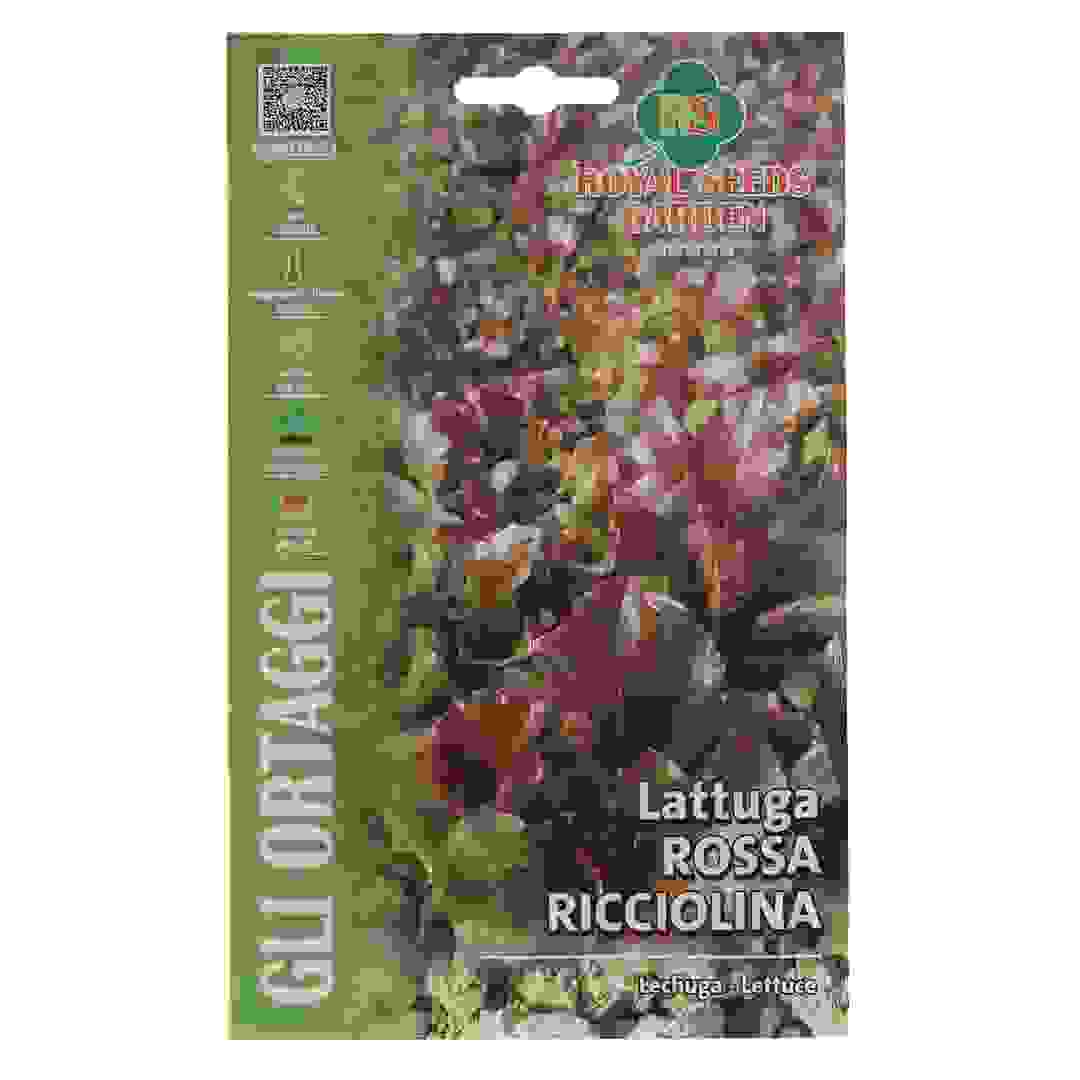 Royal Seeds Curly Red Lettuce Seed Pack (10 g)