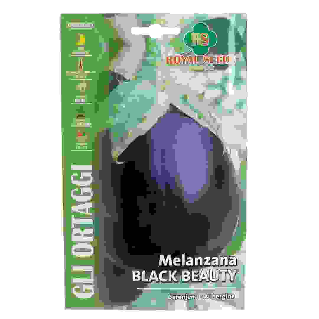 Royal Seeds Black Beauty Eggplant Seed Pack (3 g)