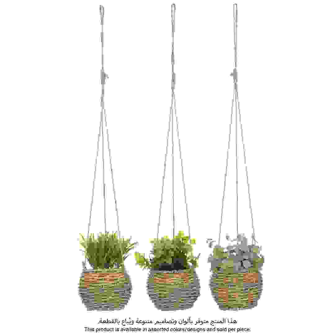 نبات معلق مع أصيص طبيعي أتموسفيرا (تصاميم متنوعة، 12 × 50 سم)