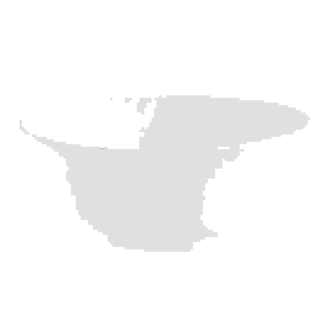 Living Space Feston Opal Salad Bowl (12 cm)