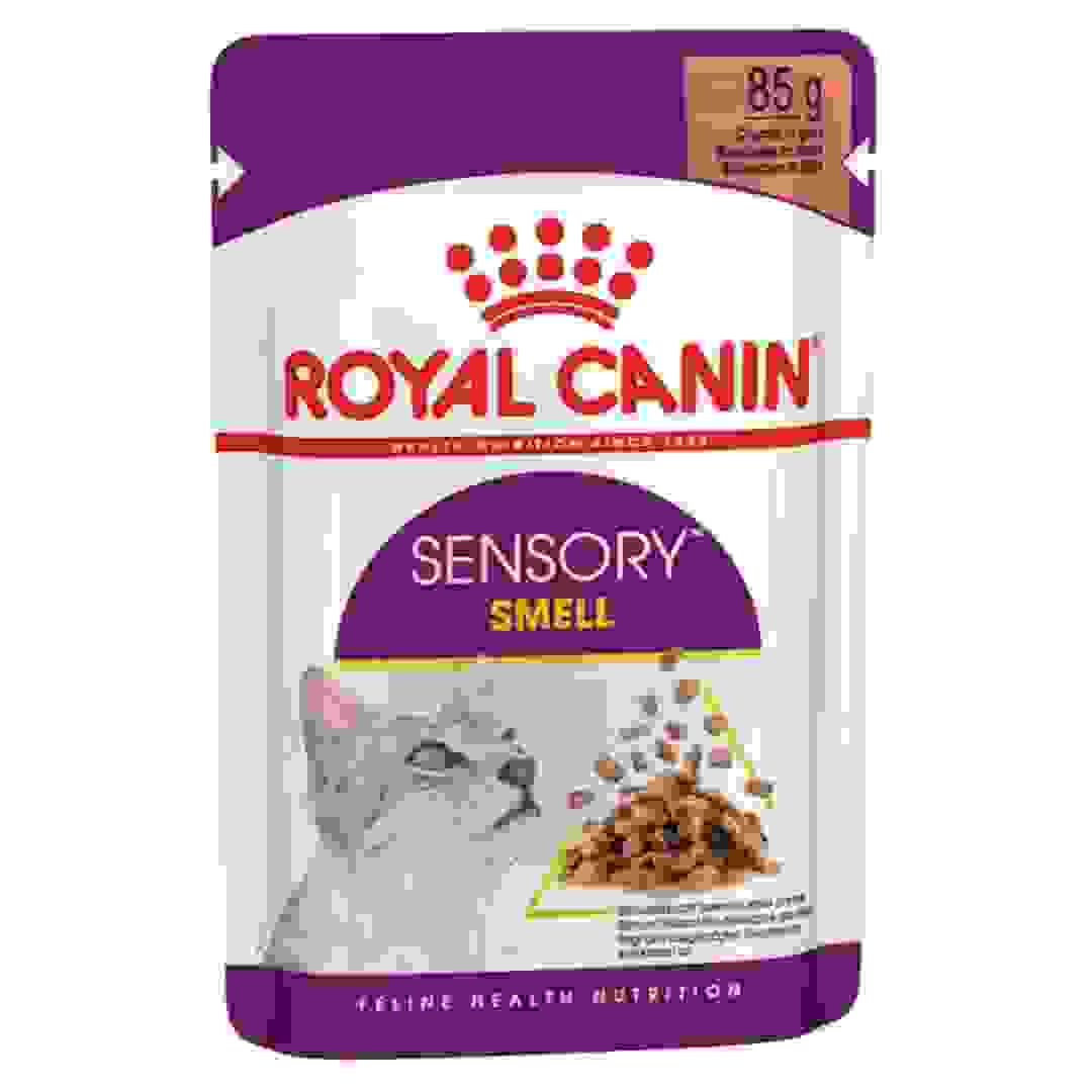 Royal Canin Sensory Smell Wet Cat Food (85 g, Adult Cats)
