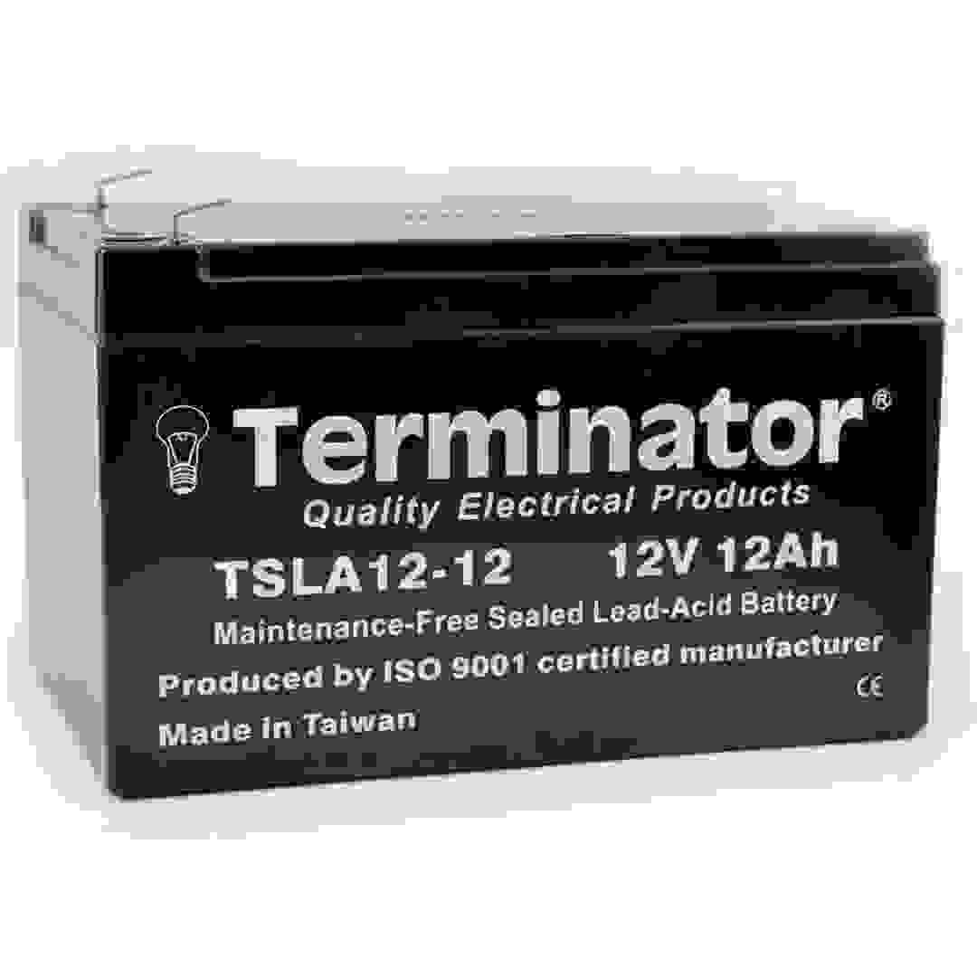 بطارية SLA تيرمينيتور ( 12 فولت، 12 أمبير ساعة)