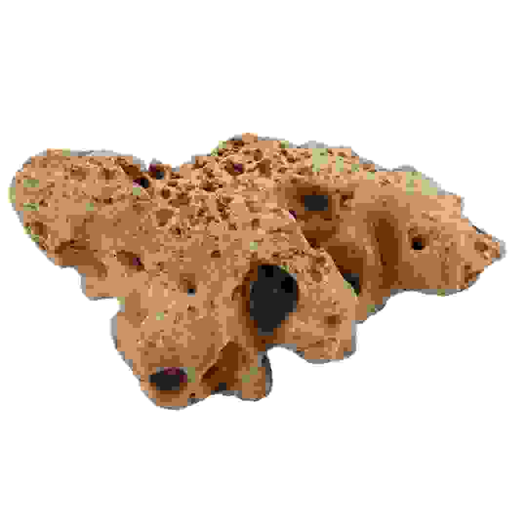 Fossil Hole Rocks (15 - 20 cm)