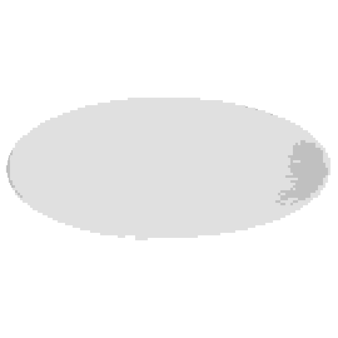 SG Atelier Dinner Plate (White, D. 27 cm)