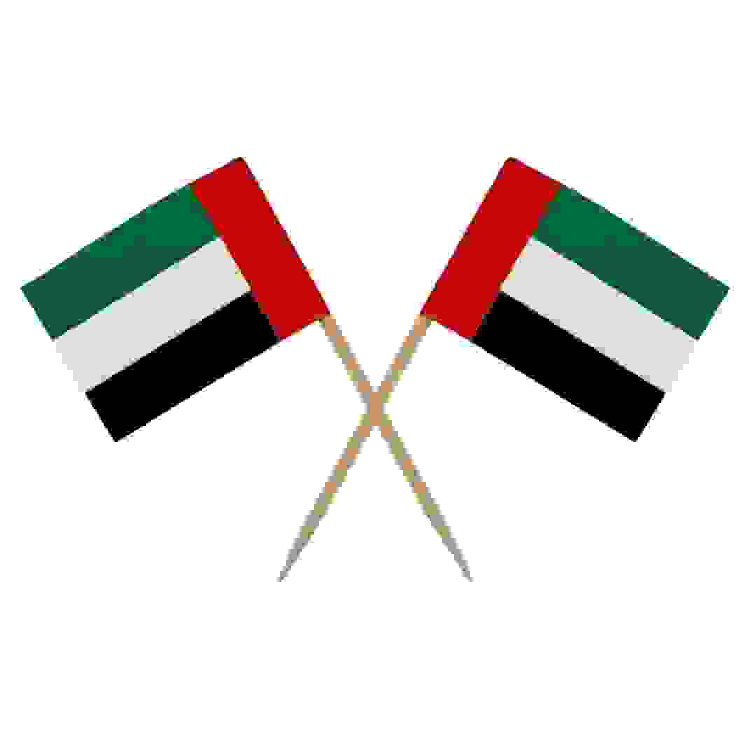 UAE Flag Cocktail Sticks (100 Pc.)