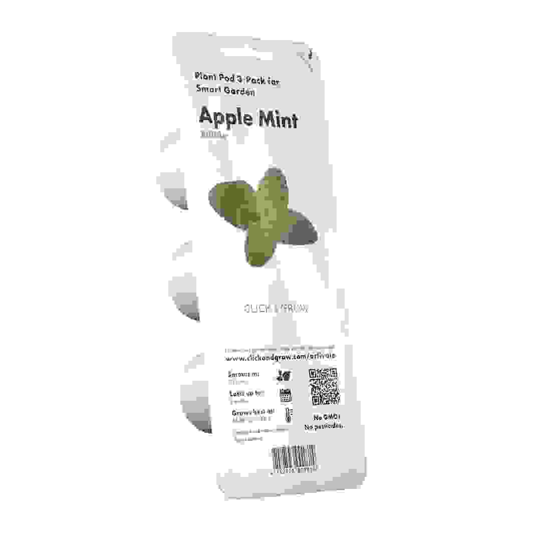 Click & Grow Apple Mint Plant pod (3 Pc.)
