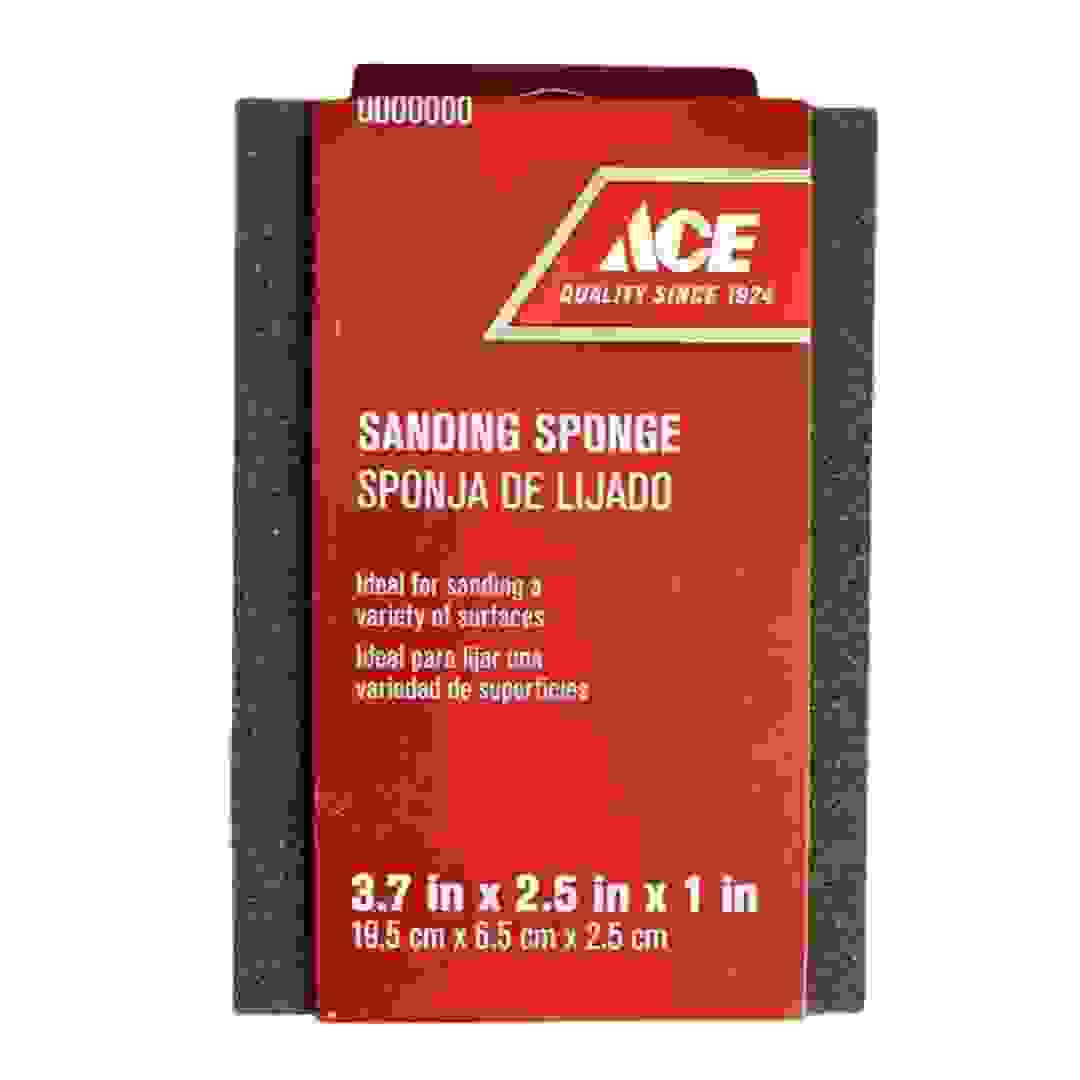 Ace Sanding Sponge (24 cm)