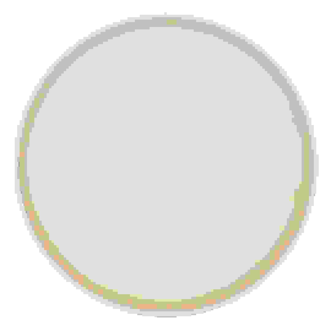 طبق طعام خزف حجري إس جي أليكس (بيج، 26 × 2.5 سم)