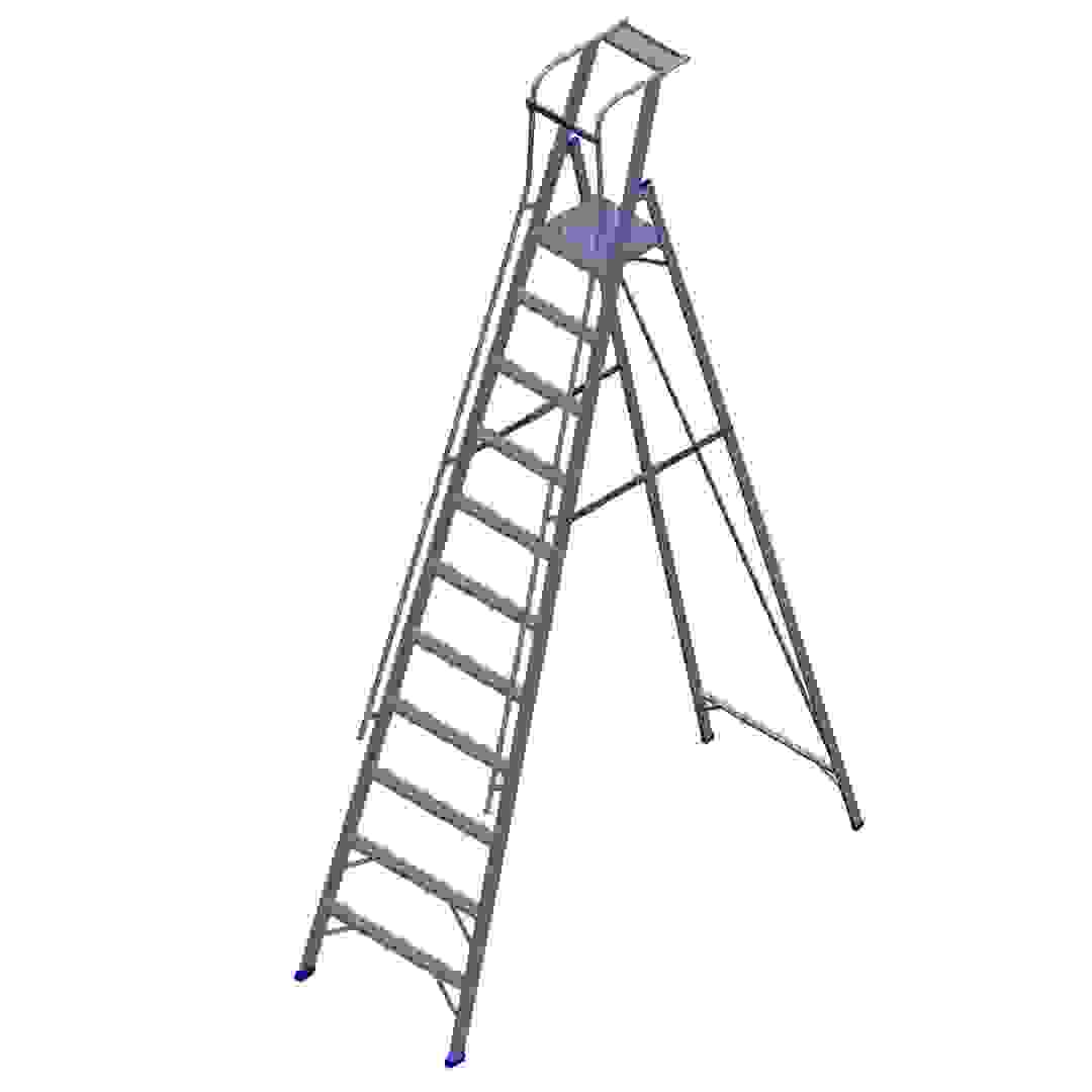 Topman Aluminum Heavy Duty Platform 10+1-Tier Step Ladder (387 x 220.5 x 80.5 cm)