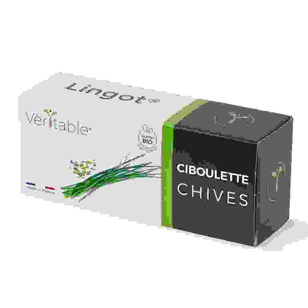 Lingot Organic Chives Aromatic Herbs Seed Pack (20 g)