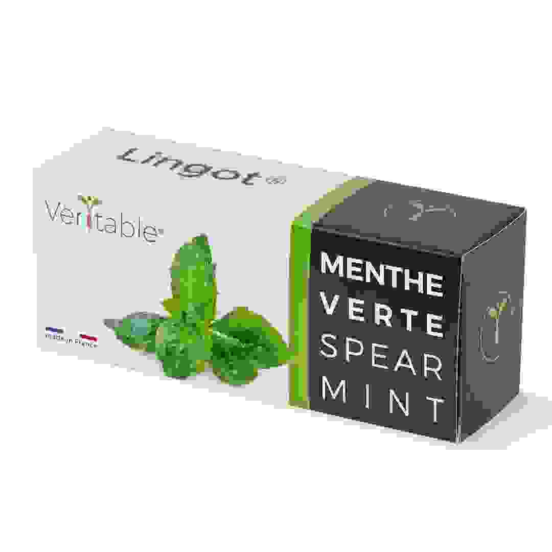 Lingot Spearmint Esential Aromatic Herbs Seed Pack (20 g)