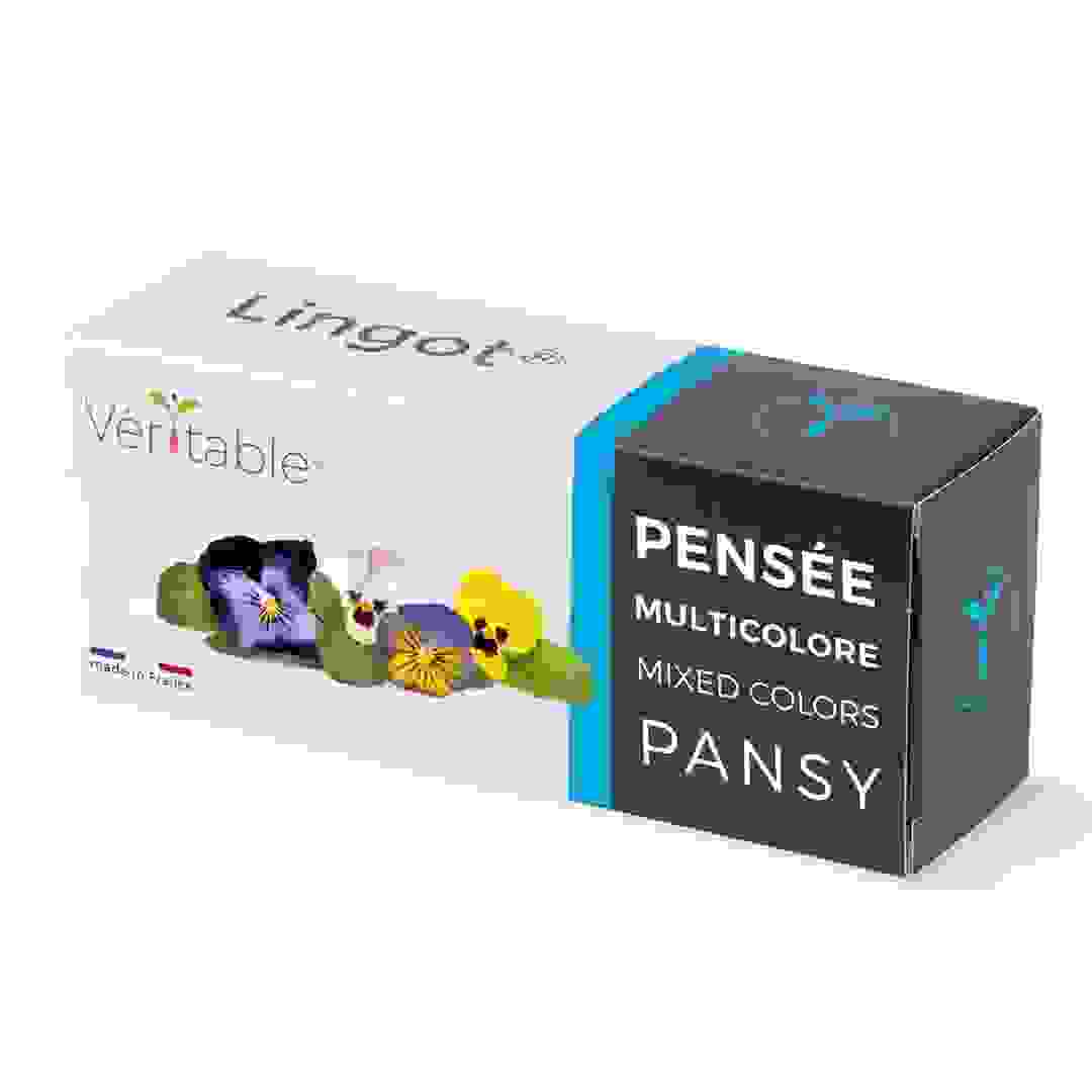 Lingot Multi-Colored Pansy Seed Pack (20 g)