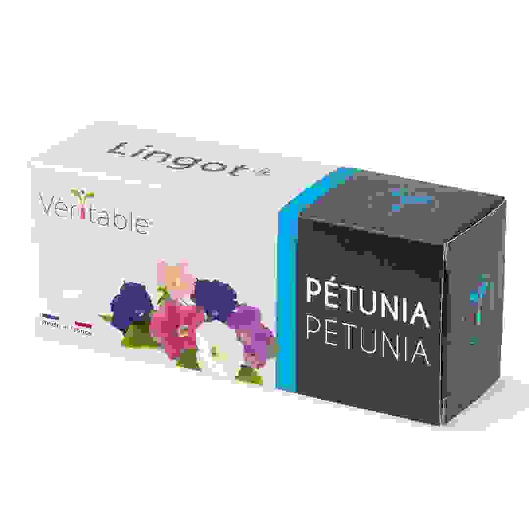 Lingot Dwarf Petunia Flower Seed Pack (20 g)