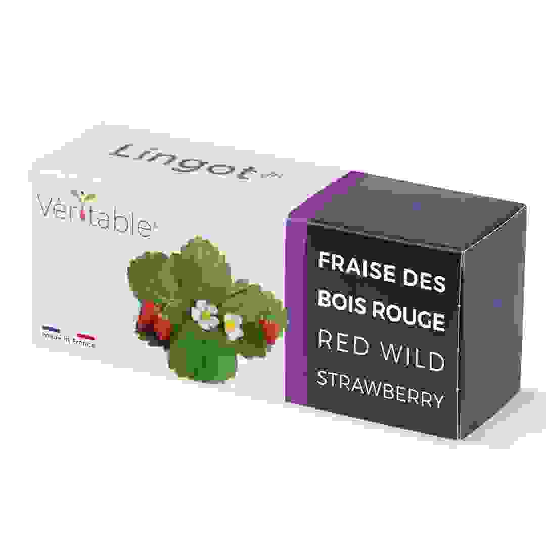 Lingot Wild Small Red Strawberry Fruits Seed Pack (20 g)