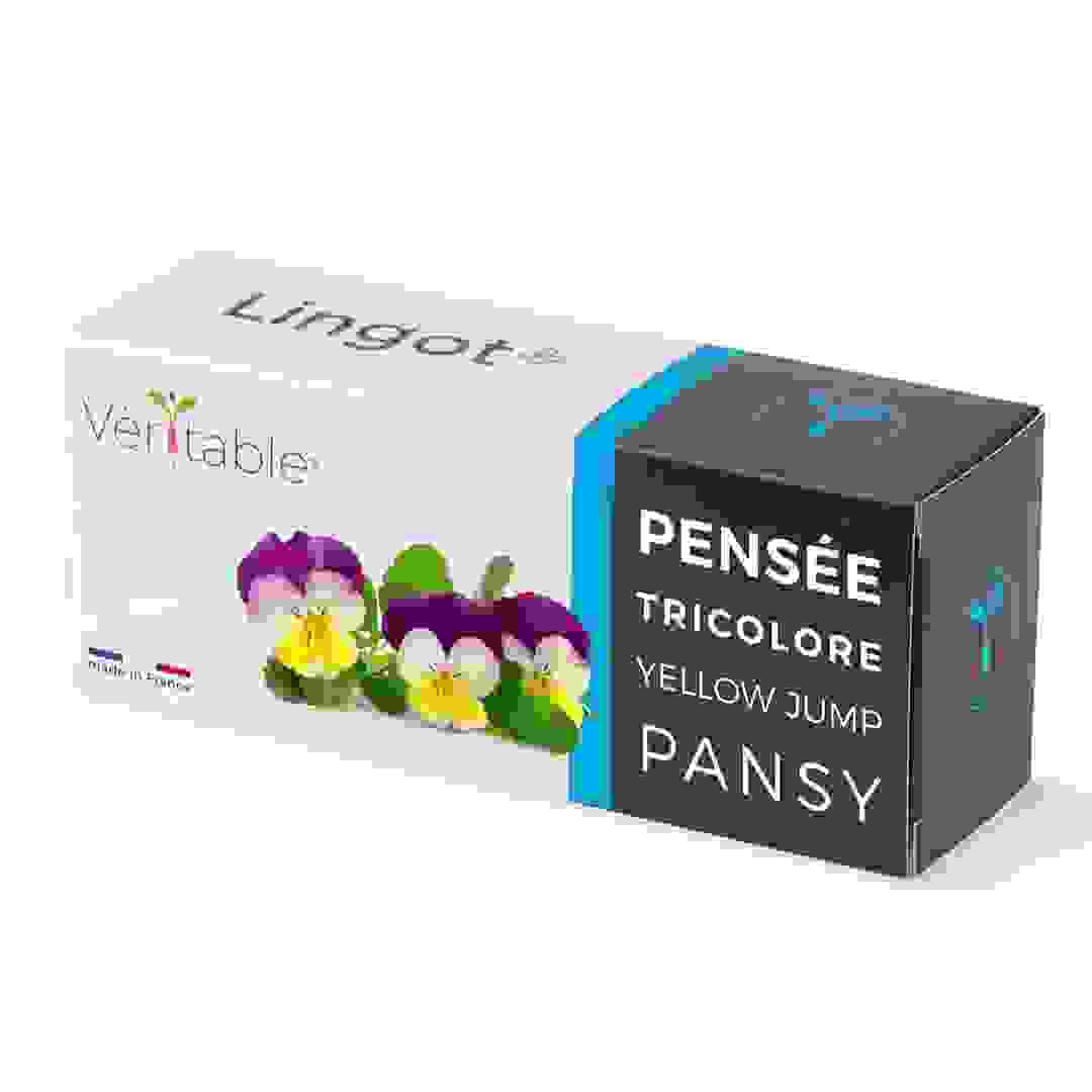 Lingot Tricolo Pansy Edible Flowers Seed Pack (20 g)