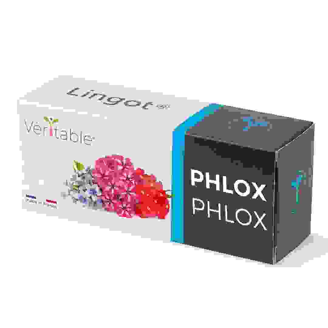 Lingot Phlox Edible Flowers Seed Pack (20 g)
