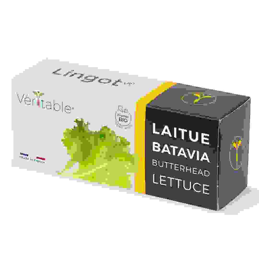 Lingot Butterhead Lettuce Organic Greens Seed Pack (20 g)