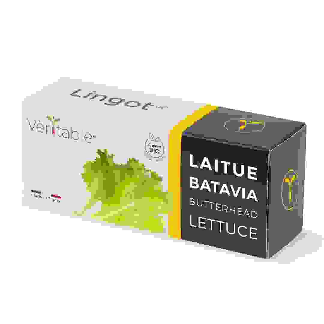 Lingot Oakleaf Lettuce Organic Greens Seed Pack (20 g)