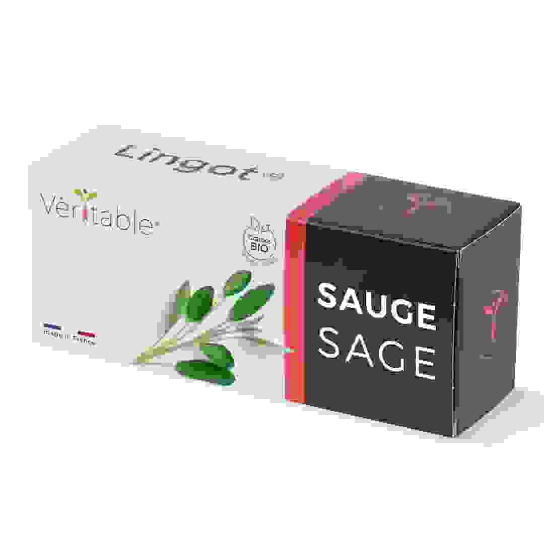 Lingot Sage Organic Herbs Seed Pack (20 g)