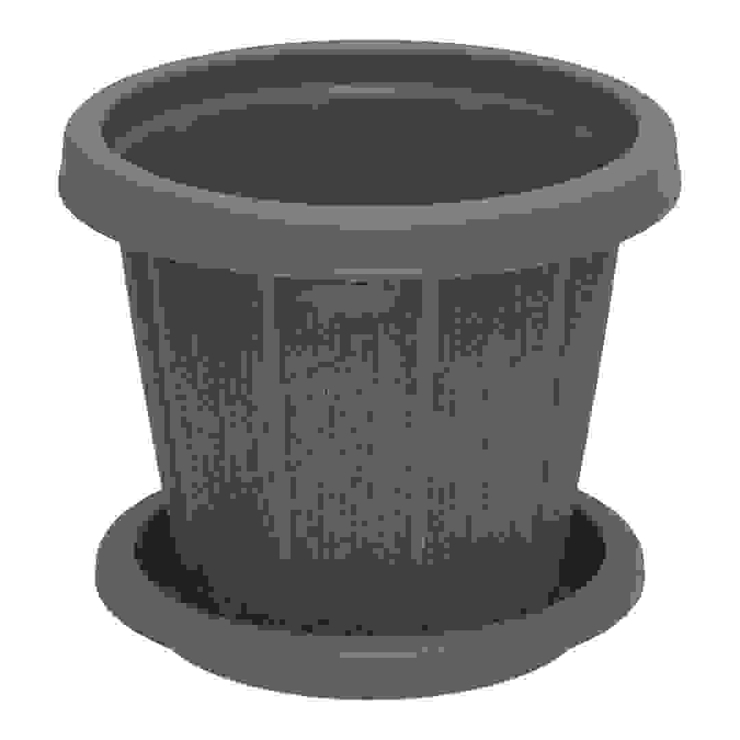 أصيص نباتات مع صينية كوزموبلاست سيدرجرين (ترابي ، 25.4 سم)