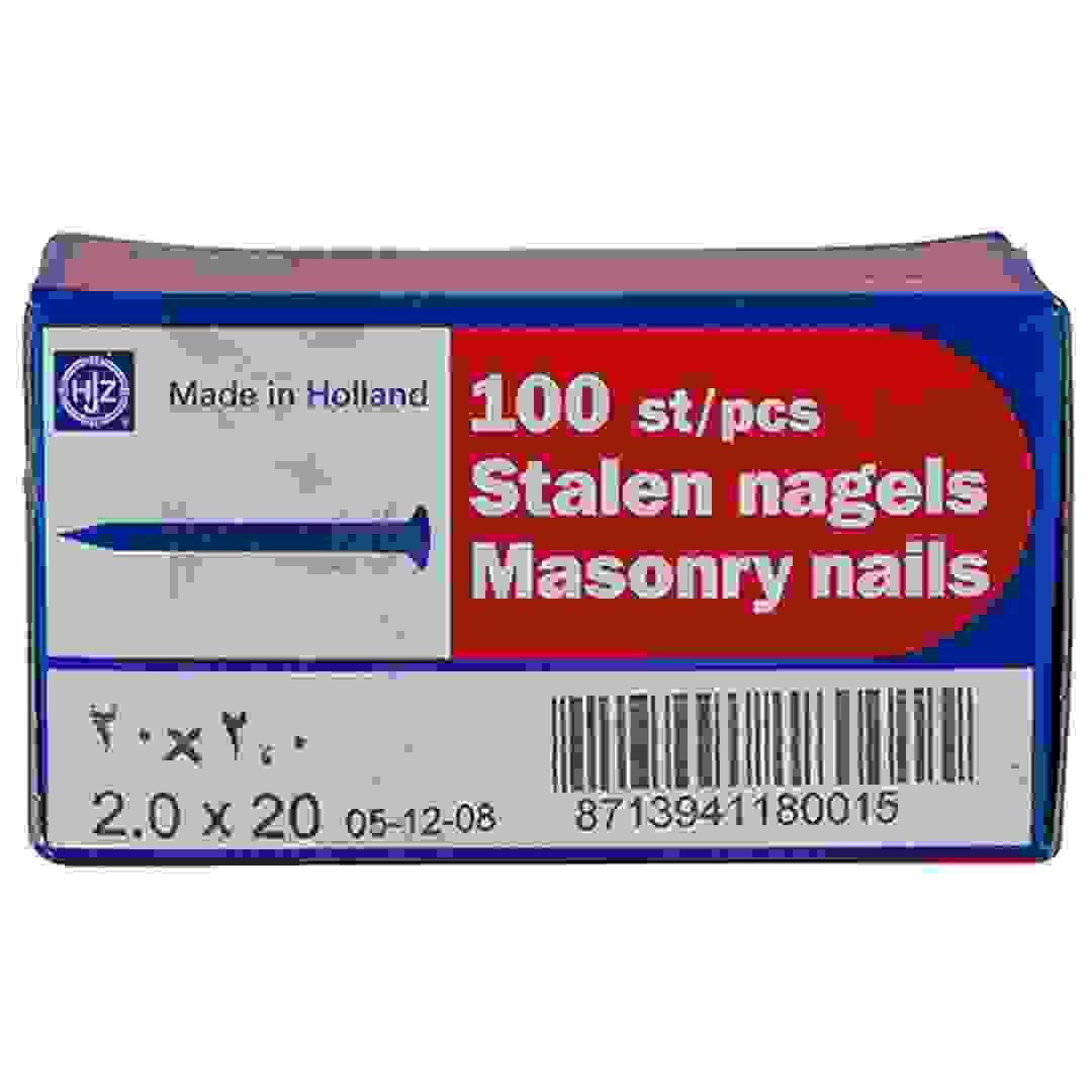 Mkats Holland Steel Nails (1.9 cm, Box of 100)