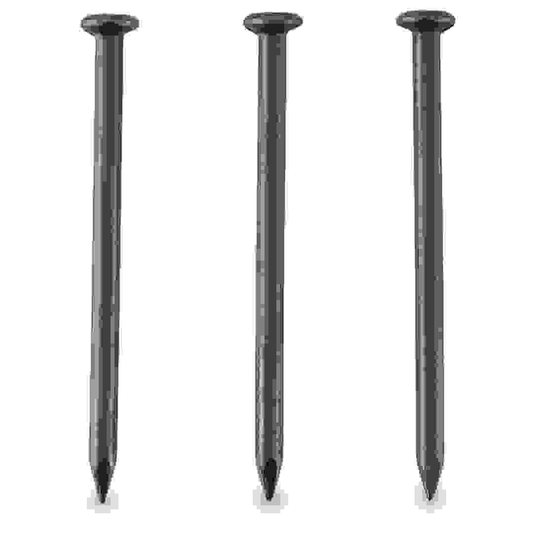 Mkats Holland Steel Nails (5.1 cm, Pack of 100)