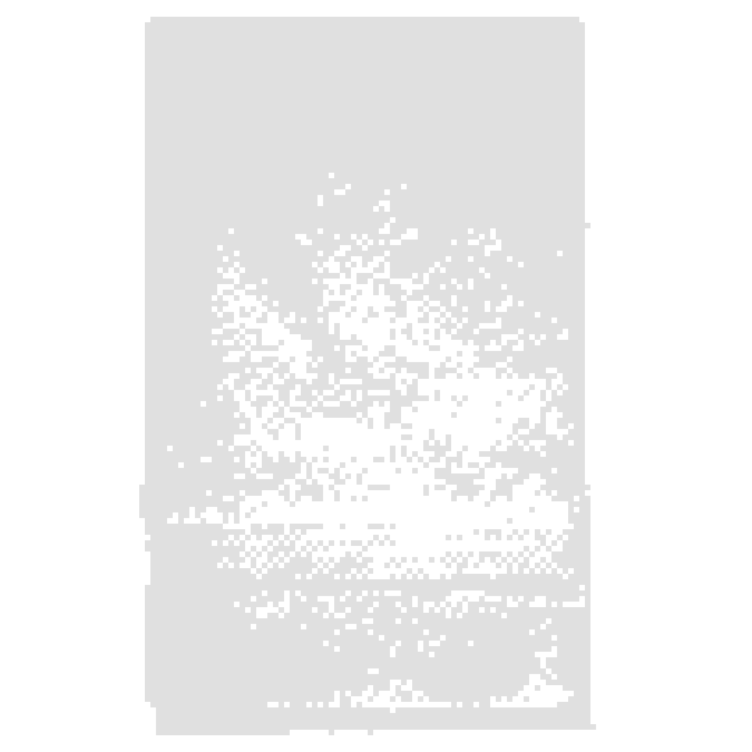 Truebell Classic Hand Towel (50 x 80 cm, White)