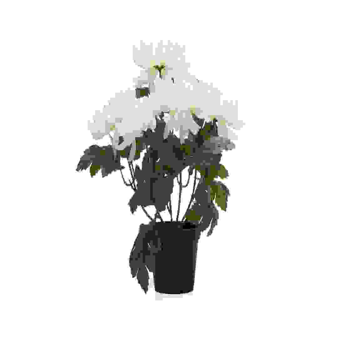 نبات اصطناعي أقحوان