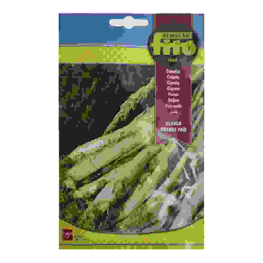 Fito Onion Blanca Grande Pais Calcots