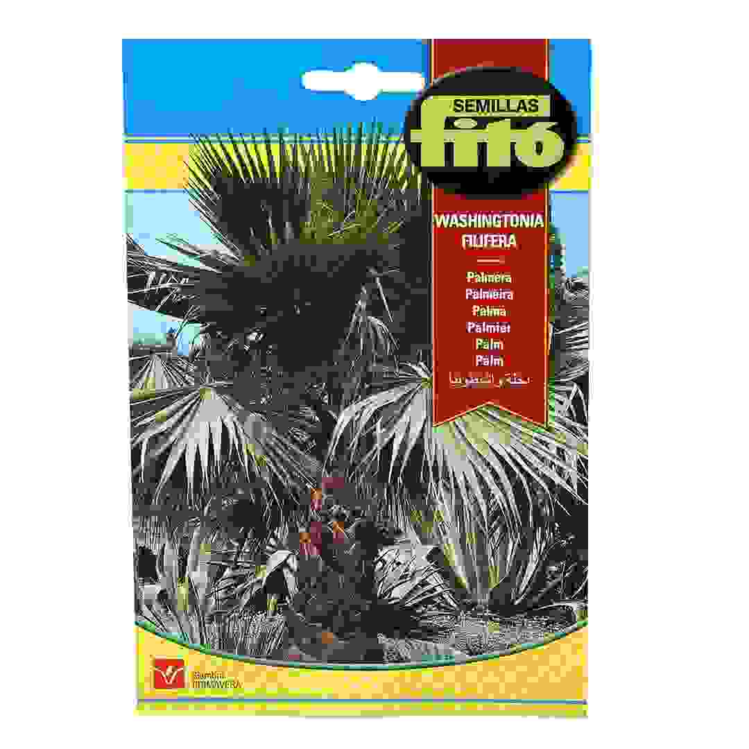 نخل كاليفورنيا نوع المروحة من سيميلاس فيتو