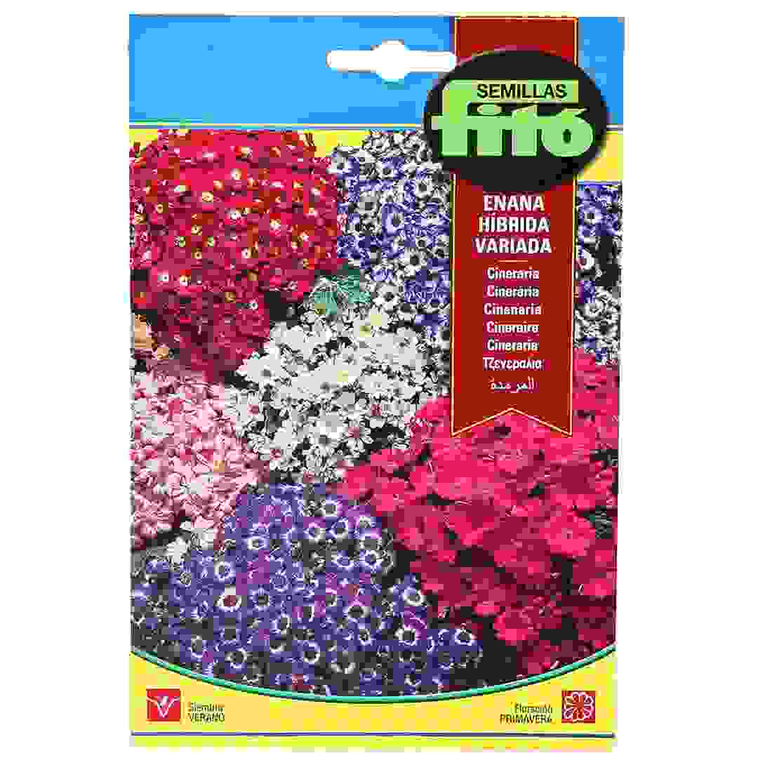 بذور نبتة الرمادية هجين مختلط قصير (50 مللي جرام)