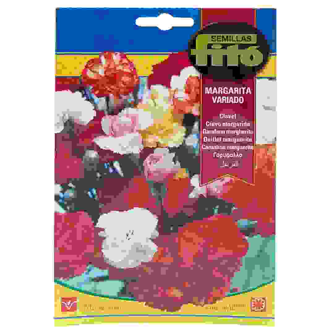 خليط قرنفل مارجريت من سيميلاس فيتو