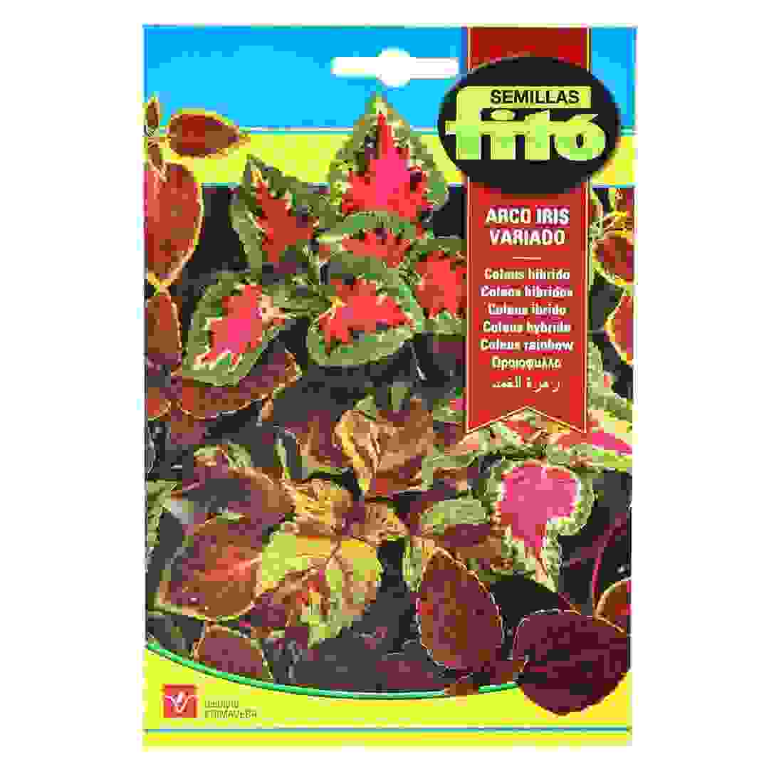 Semillas Fito Coleus Rainbow Mix