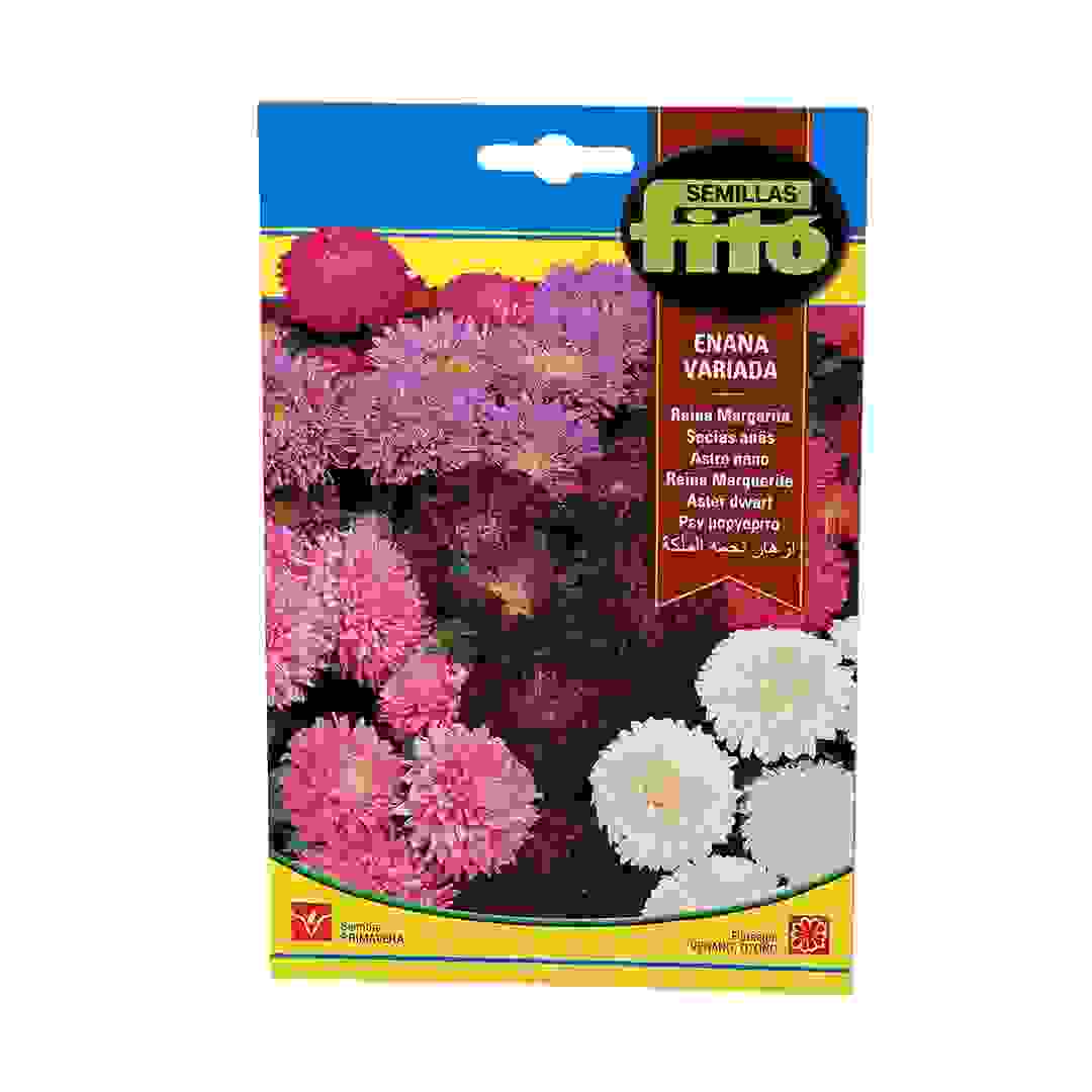 نبتة الملكة القزمة النجمية المختلطة من سيميلاس فيتو