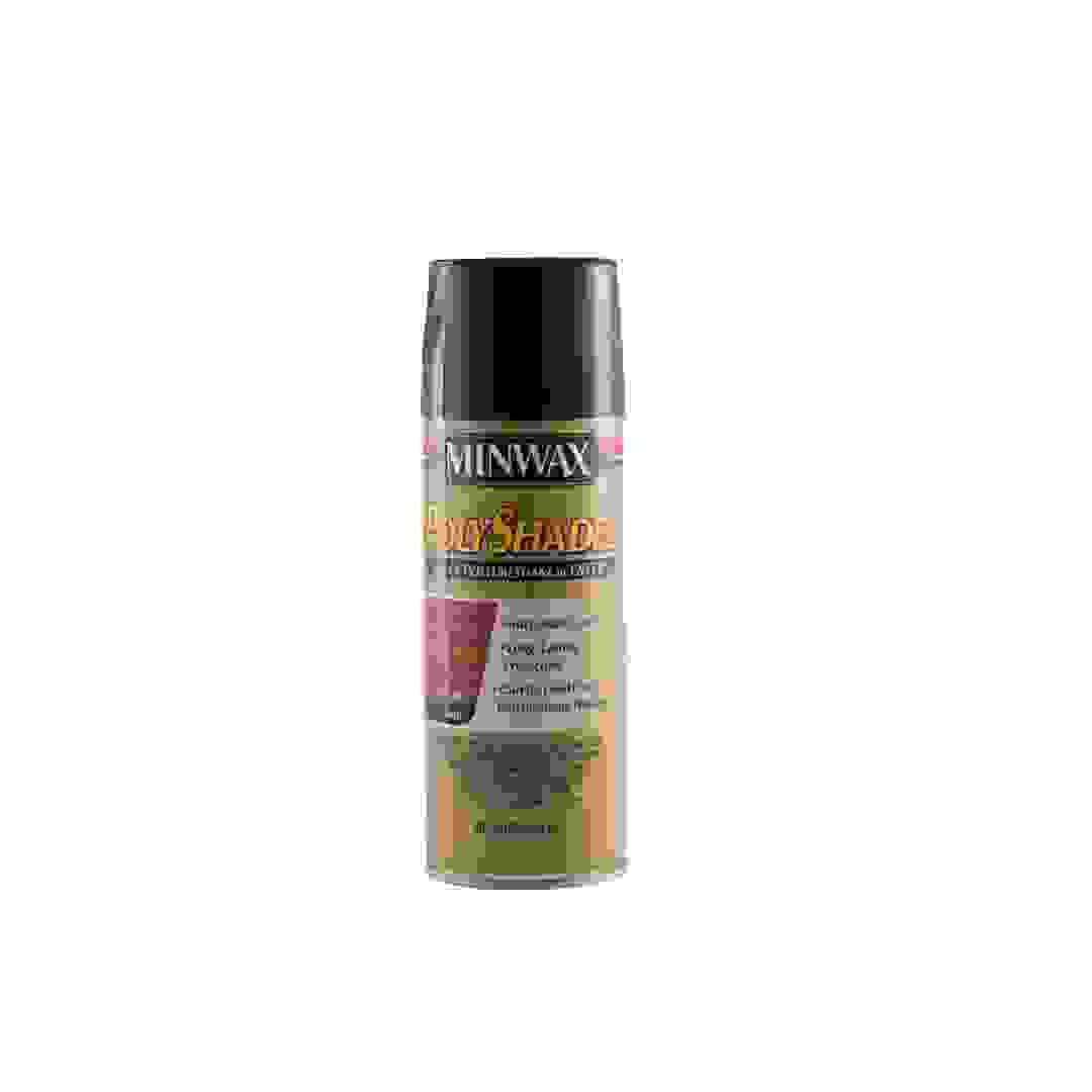 Minwax Polyshades Stain Spray (304 g, Pecan Satin)