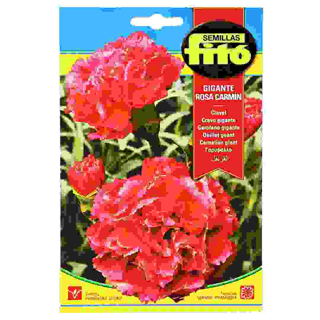 Carnation Giant Carmine