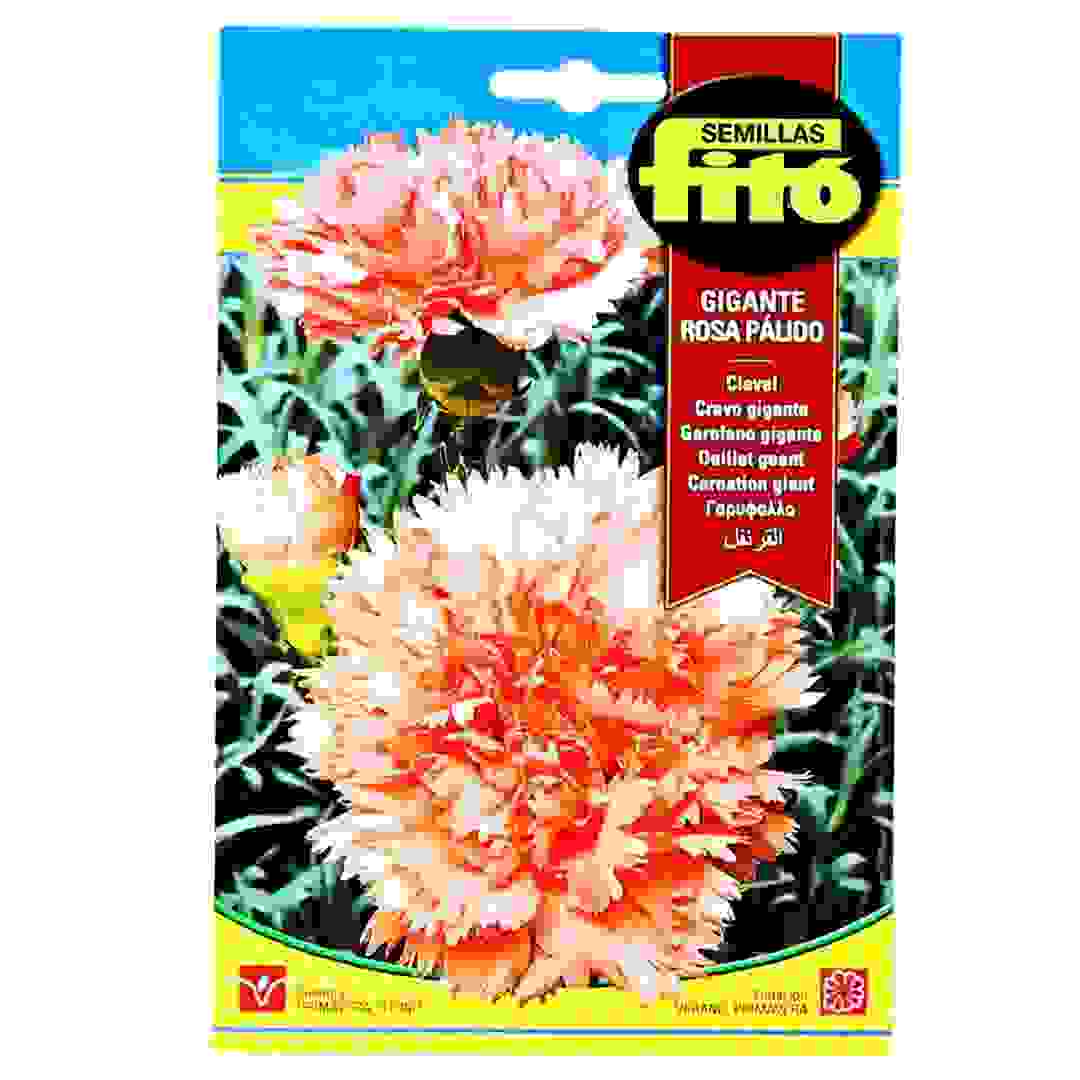 Carnation Giant Pink