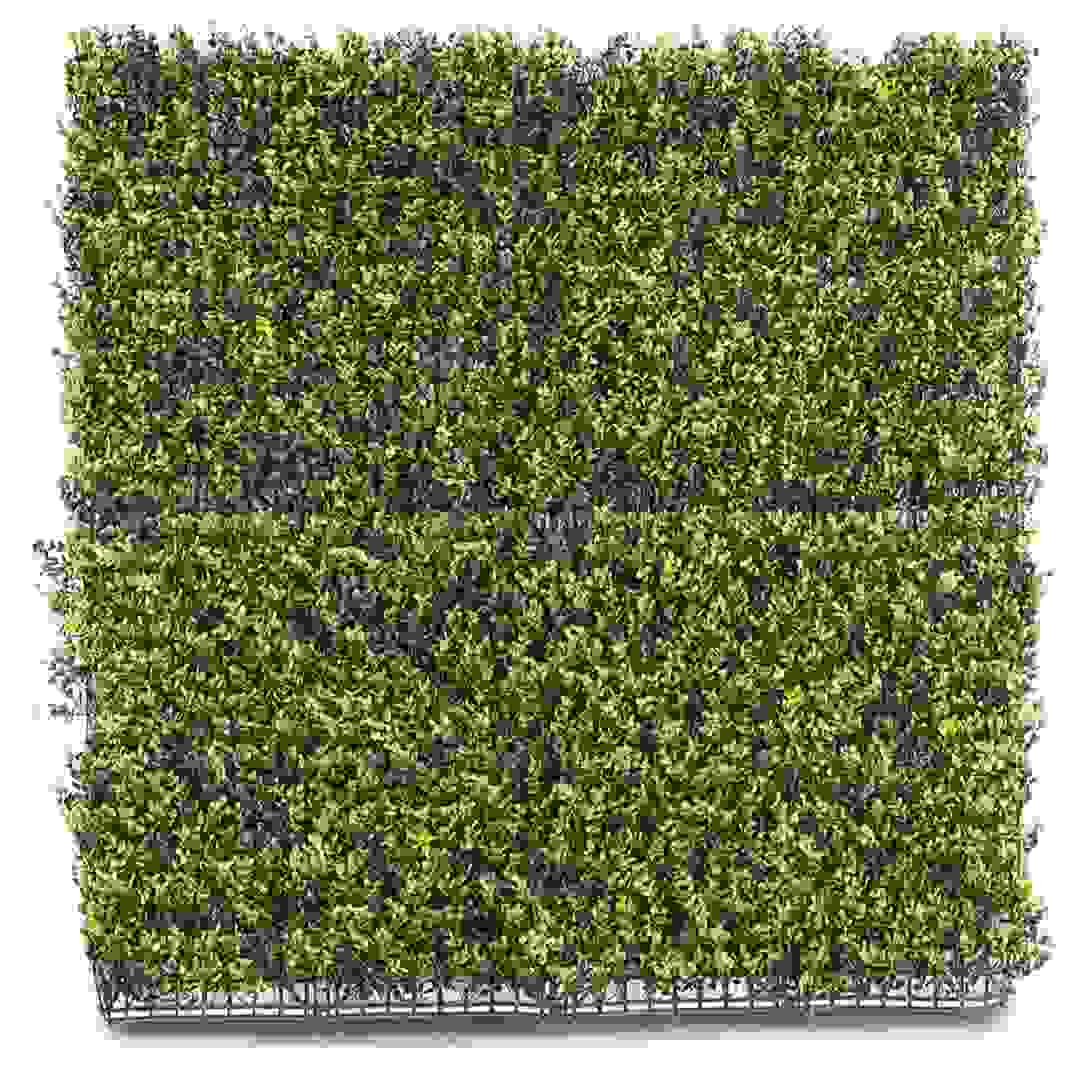 سور ليفينغ سبيس صناعي (1 × 1 متر، أخضر)