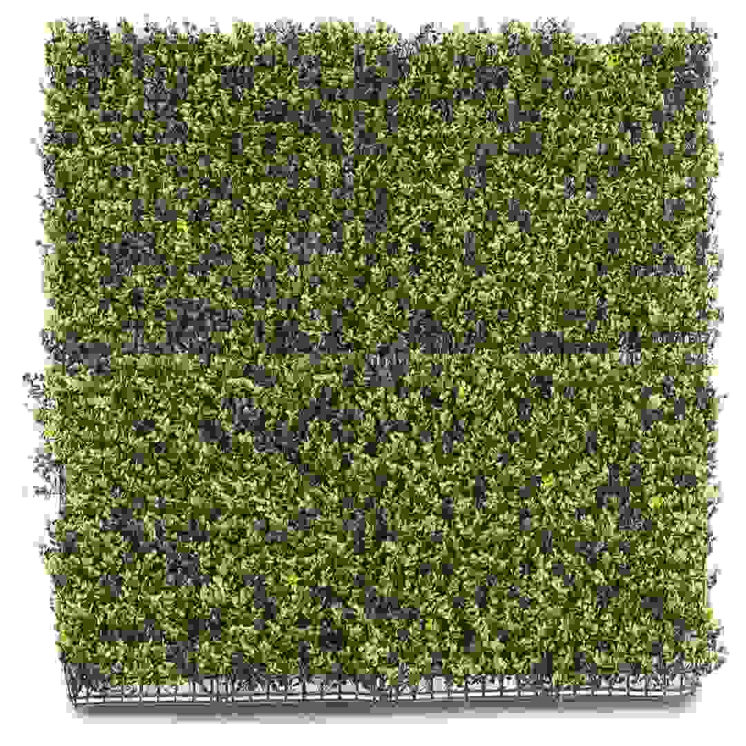 Living Space Artificial Fence (1 x 1 m, Green)