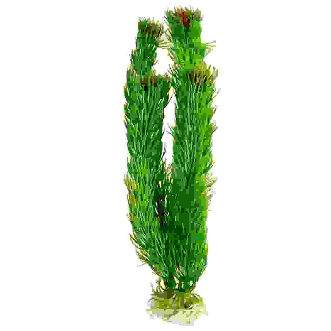 Nature Aquarium Plant (30 cm)