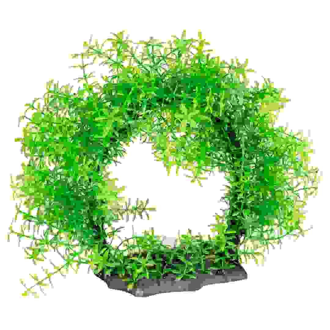 ديكور على شكل مجموعة نباتات فوشان لحوض الأسماك