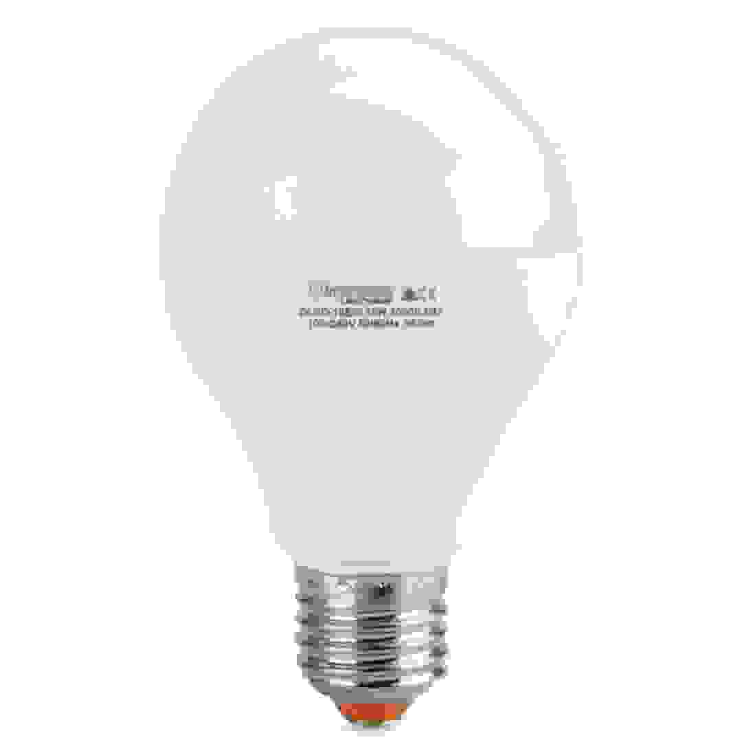 Oshtraco E27 12W LED Lamp